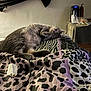 cat, sleeping, bed, blanket, patterned, gray, indoor, furniture, cordless_phone, nightstand, cozy, resting, pet, soft_light, domestic, relaxation, animal, fur, whiskers, paws