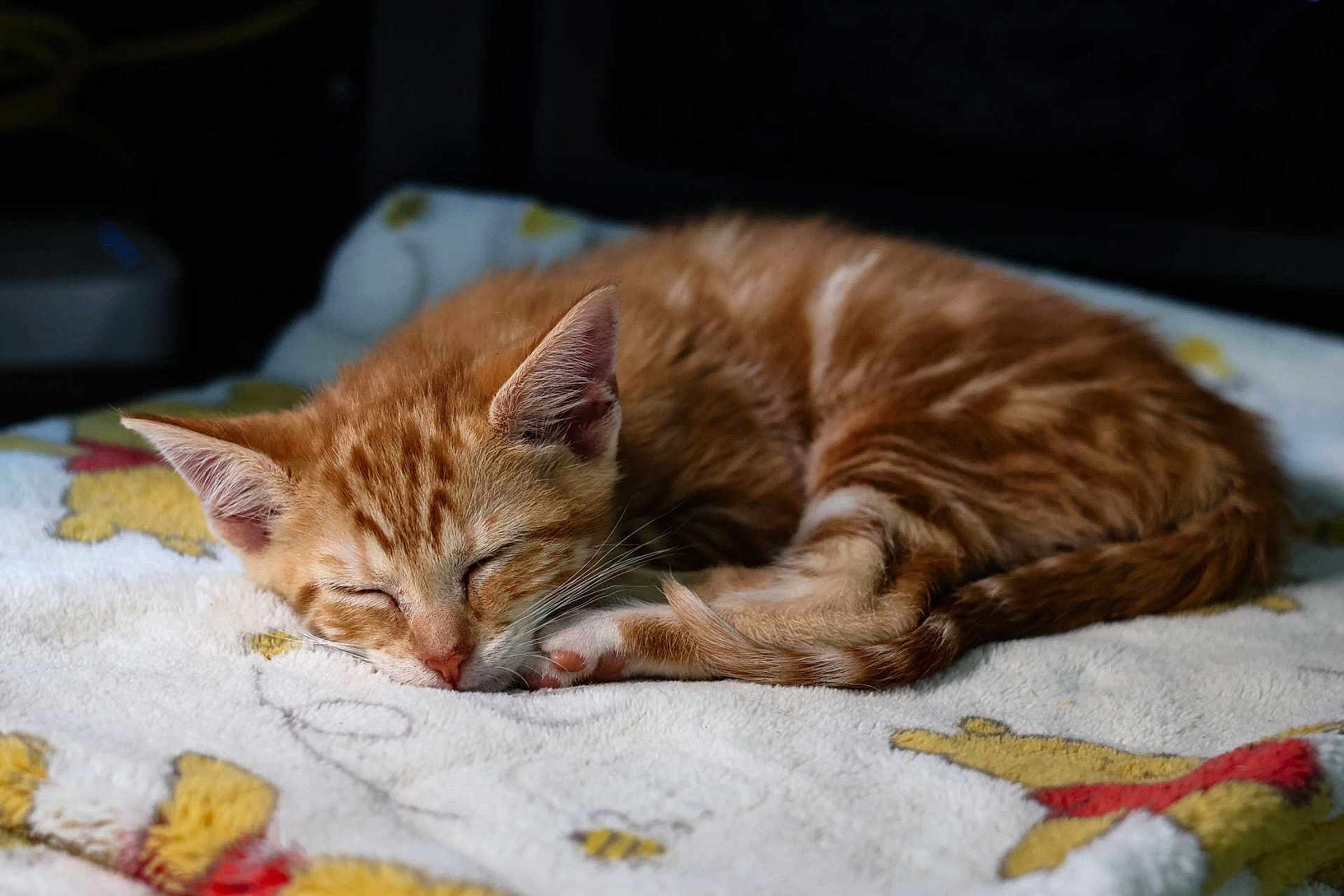 Milo