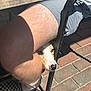 dog, leg, person, chair, outdoor, pavement, shadow, sunlight, footwear, leash, metal, nose, paw, pet, animal, summer, casual, resting, curious, brown