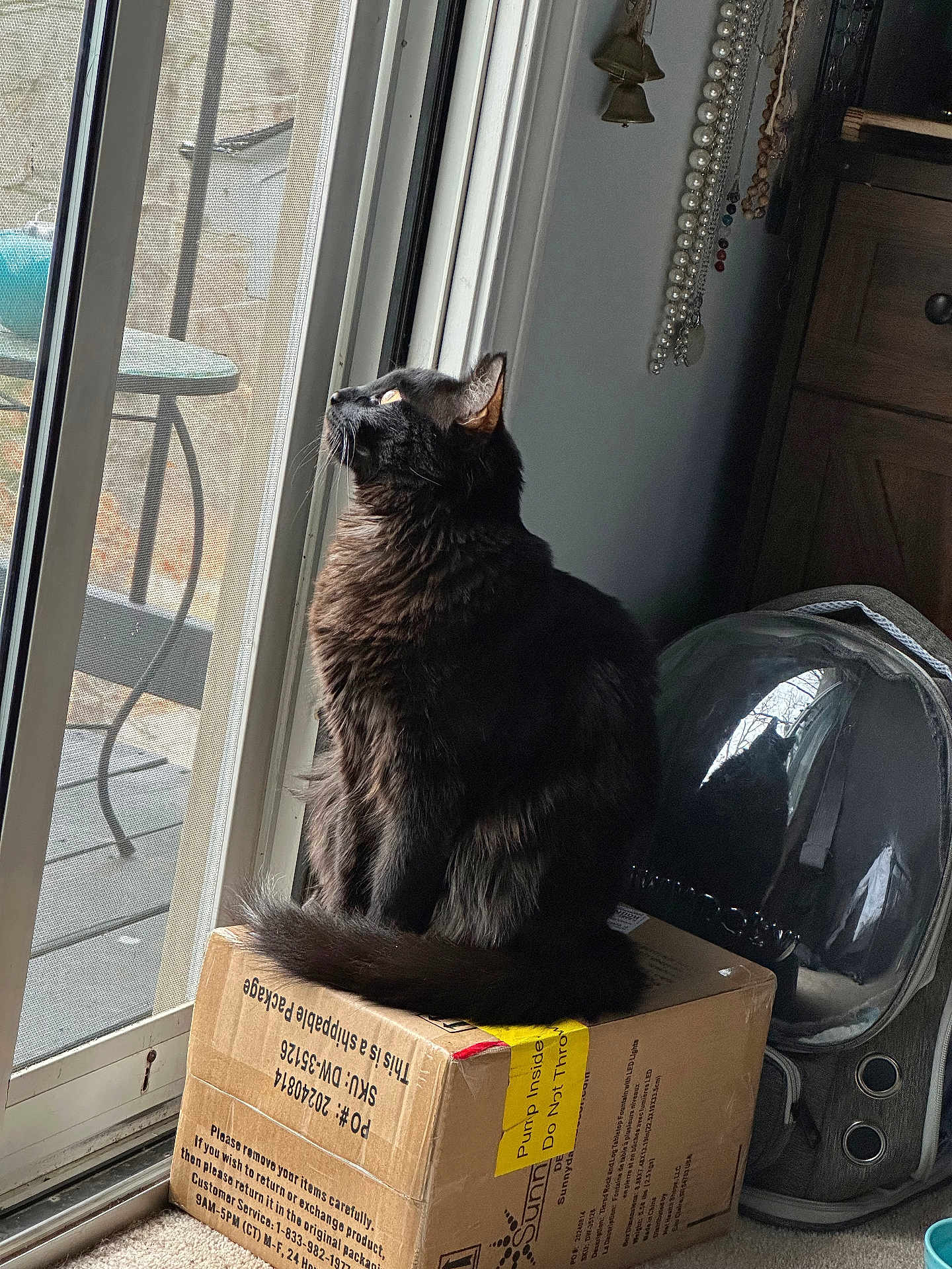 Binx