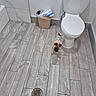 dog, puppy, bathroom, toilet, floor, tile_floor, trash_bin, paper, sweater, small_dog, pet, indoor, wall, plumbing, drain, clean, curious, standing, modern, home
