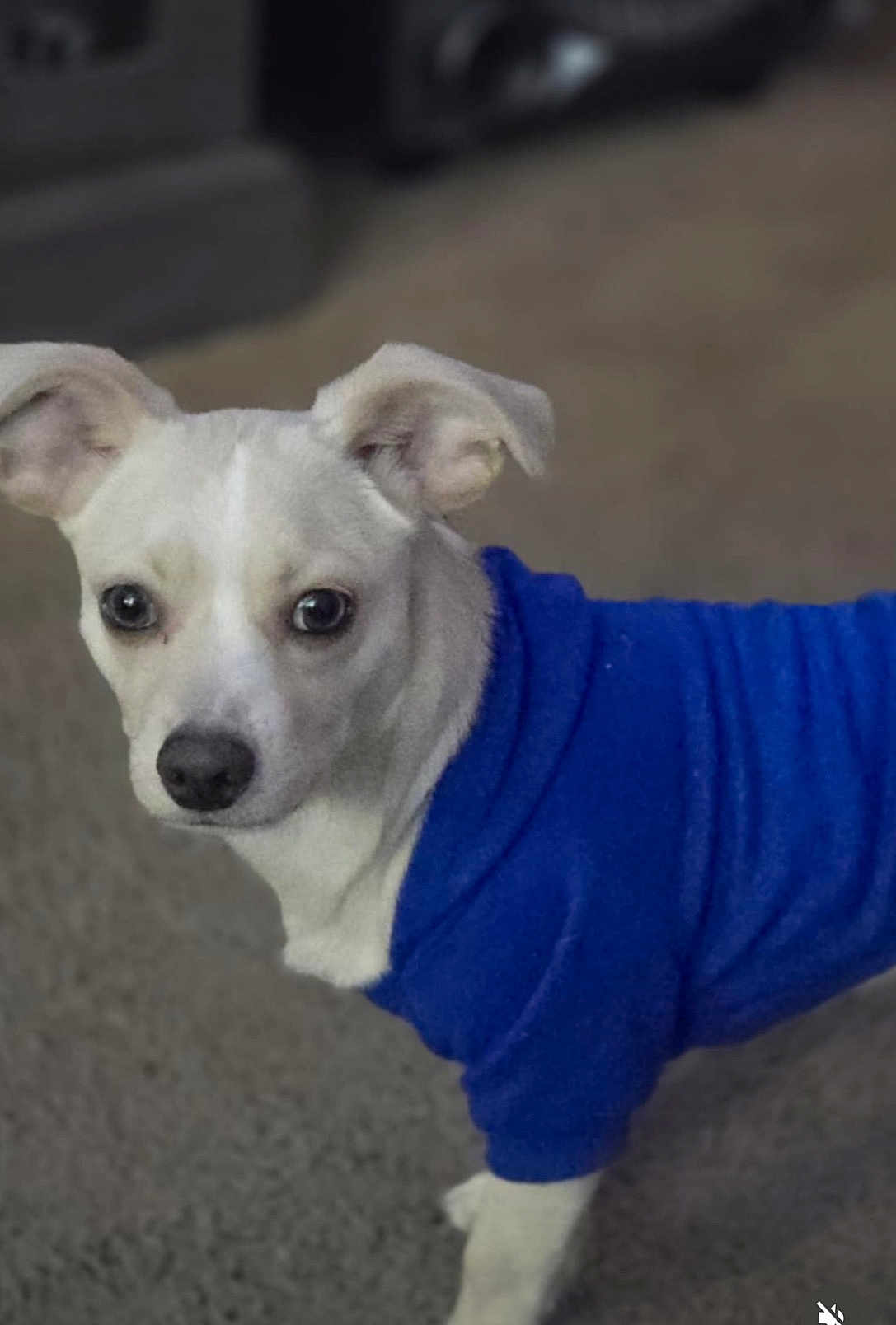 Max