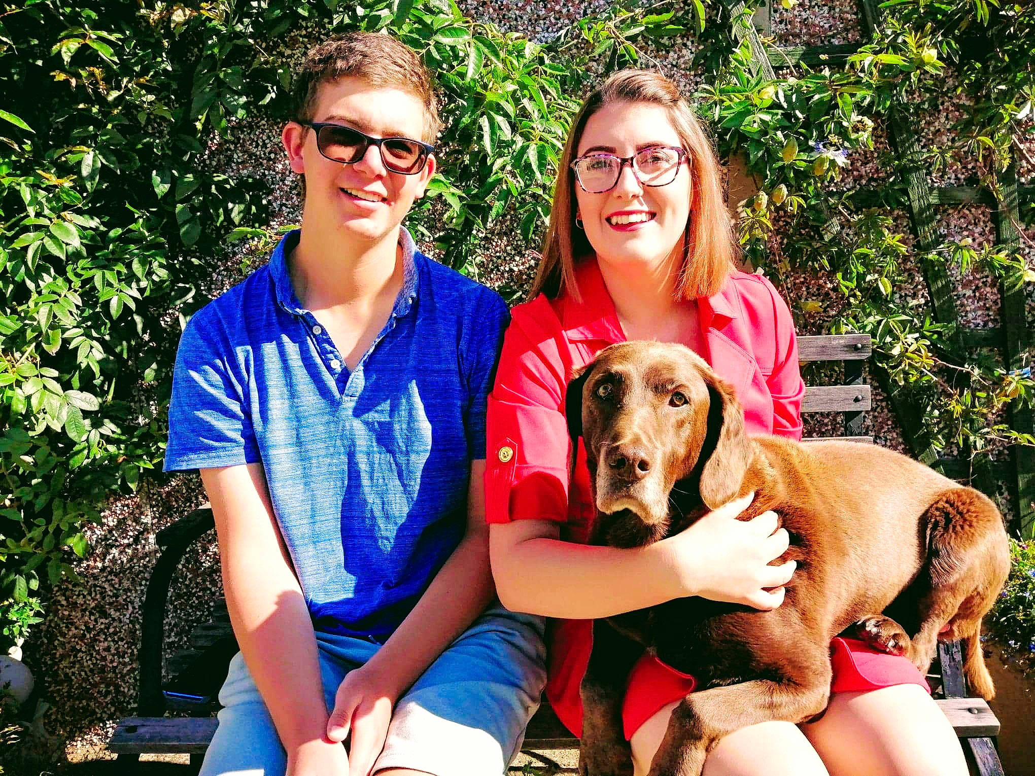 Barney is registered to the contest to win money with this photo: carnivore, companion_dog, dog, dog_breed, event, eyewear, fawn, fun, glasses, goggles, grass, happy, hound, leisure, people_in_nature, plant, recreation, sitting, smile, sunglasses