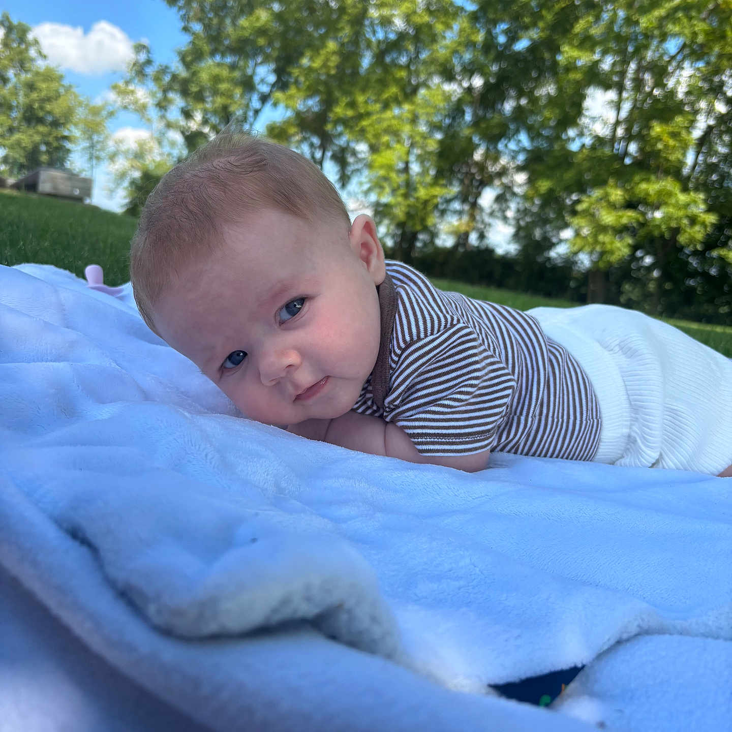 Braley is registered to the contest to win money with this photo: baby, child, infant, portrait, outdoor, grass, trees, sky, blanket, blue_blanket, lying_down, tummy_time, striped_shirt, clothing, face, eyes, smiling, daylight, garden, nature
