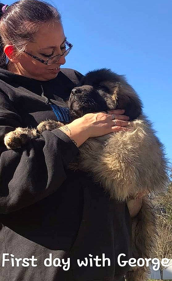 George is registered to the contest to win money with this photo: canidae, carnivore, companion_dog, dog, dog_breed, eyewear, fun, fur, gesture, glasses, happy, hug, jewellery, labradoodle, mammal, natural_material, sky, sporting_group, vertebrate
