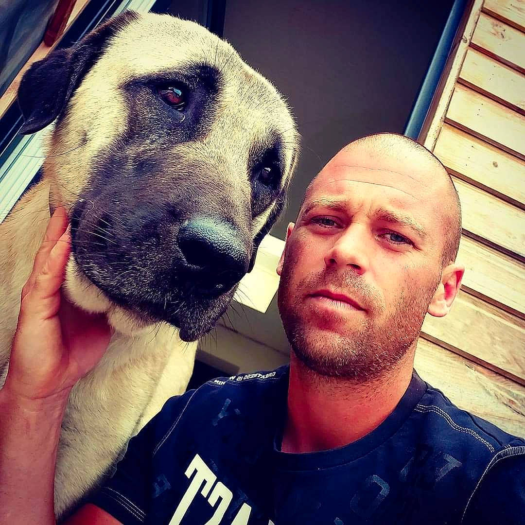 Jack a rejoint le concours — aidez-le/la à gagner de superbes lots ! black_mouth_cur, canidae, carnivore, companion_dog, cool, dog, dog_breed, fawn, fun, great_dane, guard_dog, head, muscle, non_sporting_group, nose, photography, puppy_love, selfie, sky, snout