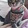 Tabitha