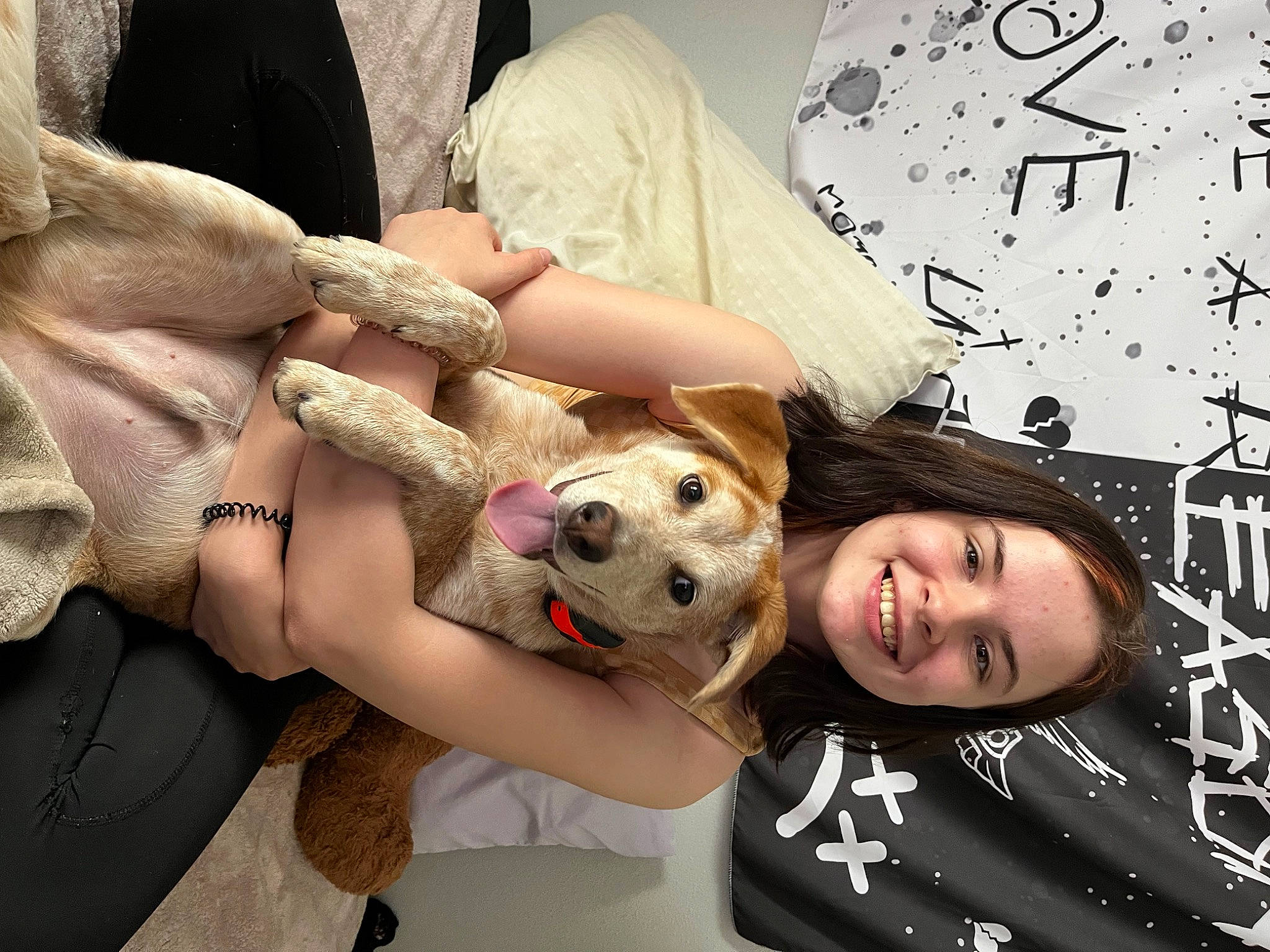 Caramel is registered to the contest to win money with this photo: abdomen, arm, canidae, companion_dog, dog, eyewear, fawn, fun, fur, happy, human_leg, nail, room, selfie, skin, smile, stuffed_toy, teddy_bear, thigh, toy