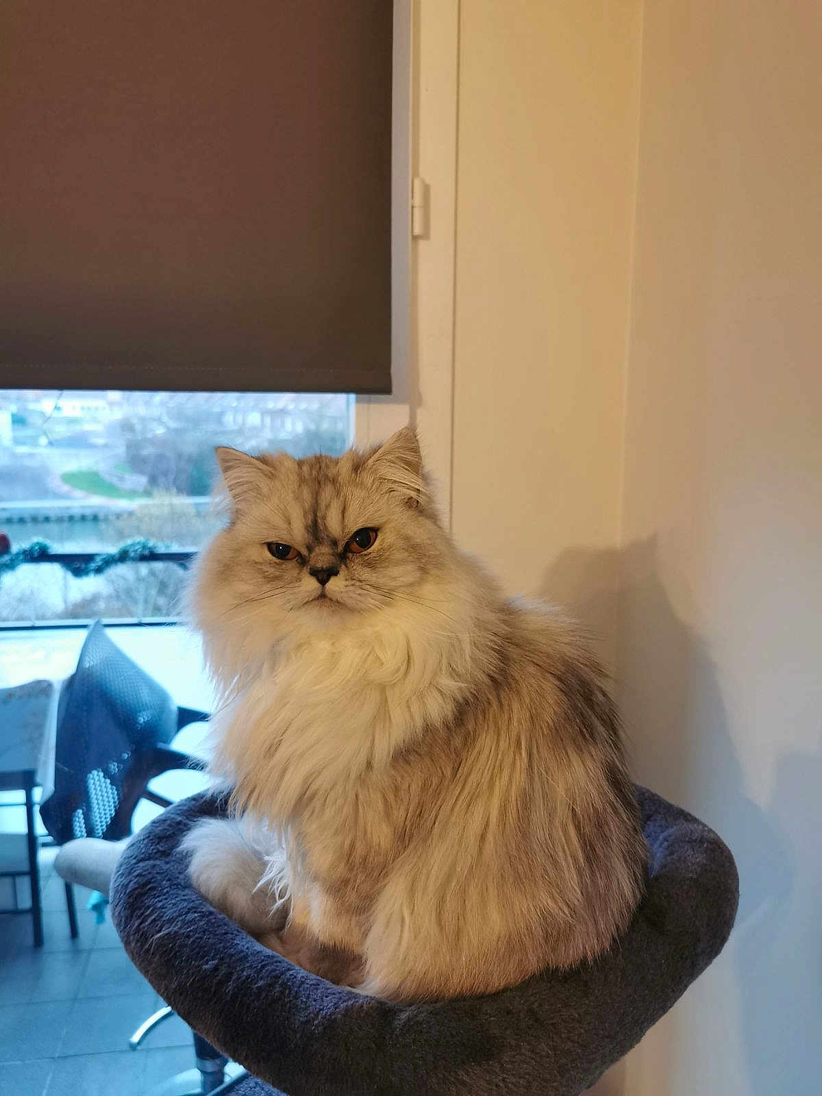 Luna