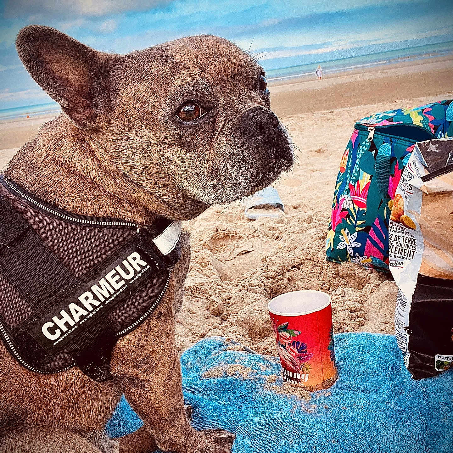 Lenny Alias Saucisse