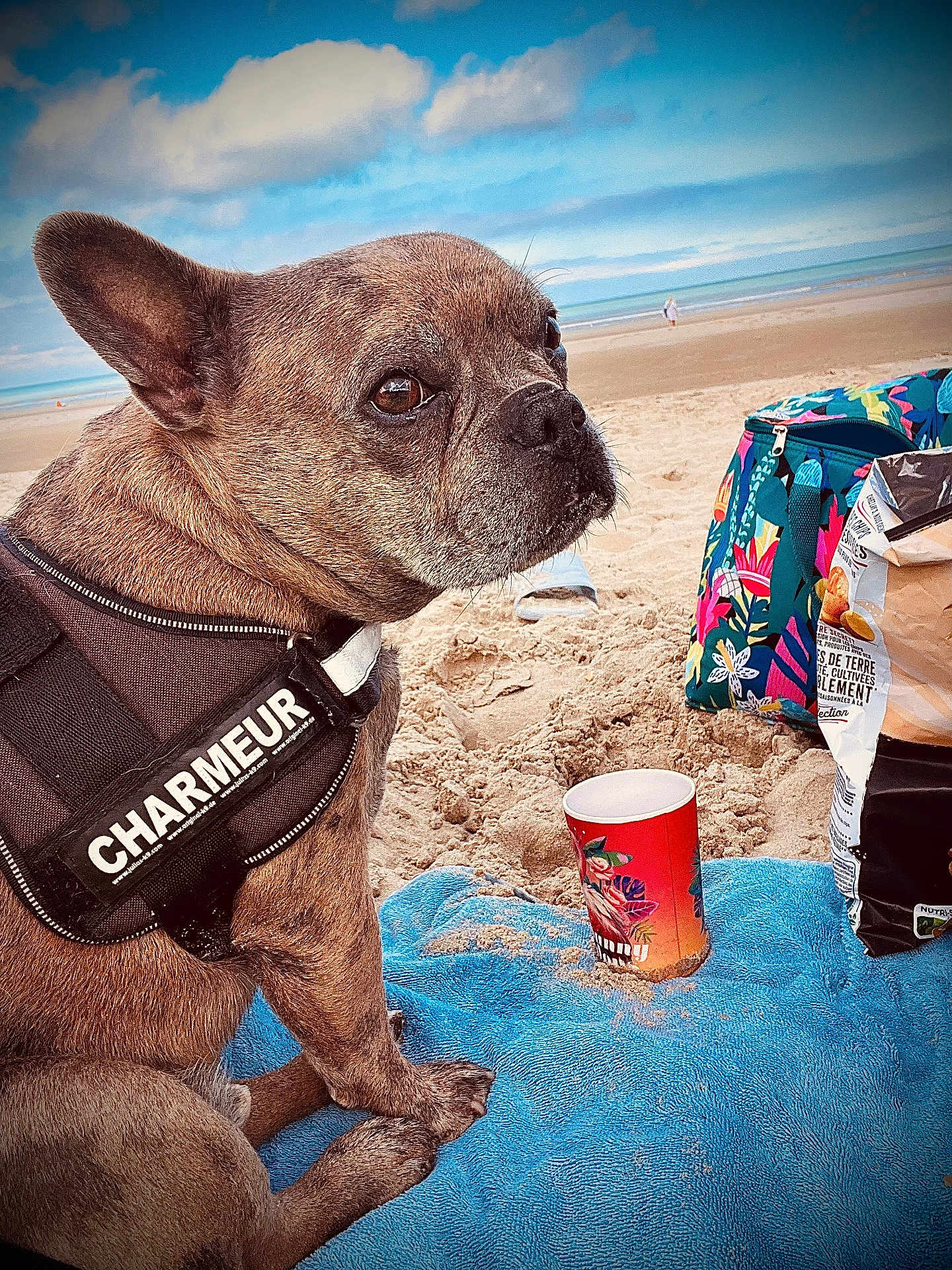 Lenny Alias Saucisse