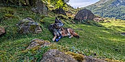 Yoshee participe au concours pour gagner de l'argent avec cette photo : dog, outdoor, nature, grass, rocks, mountain, tree, sky, clouds, moss, animal, resting, landscape, scenery, canine, greenery, peaceful, sunlight, hiking, adventure