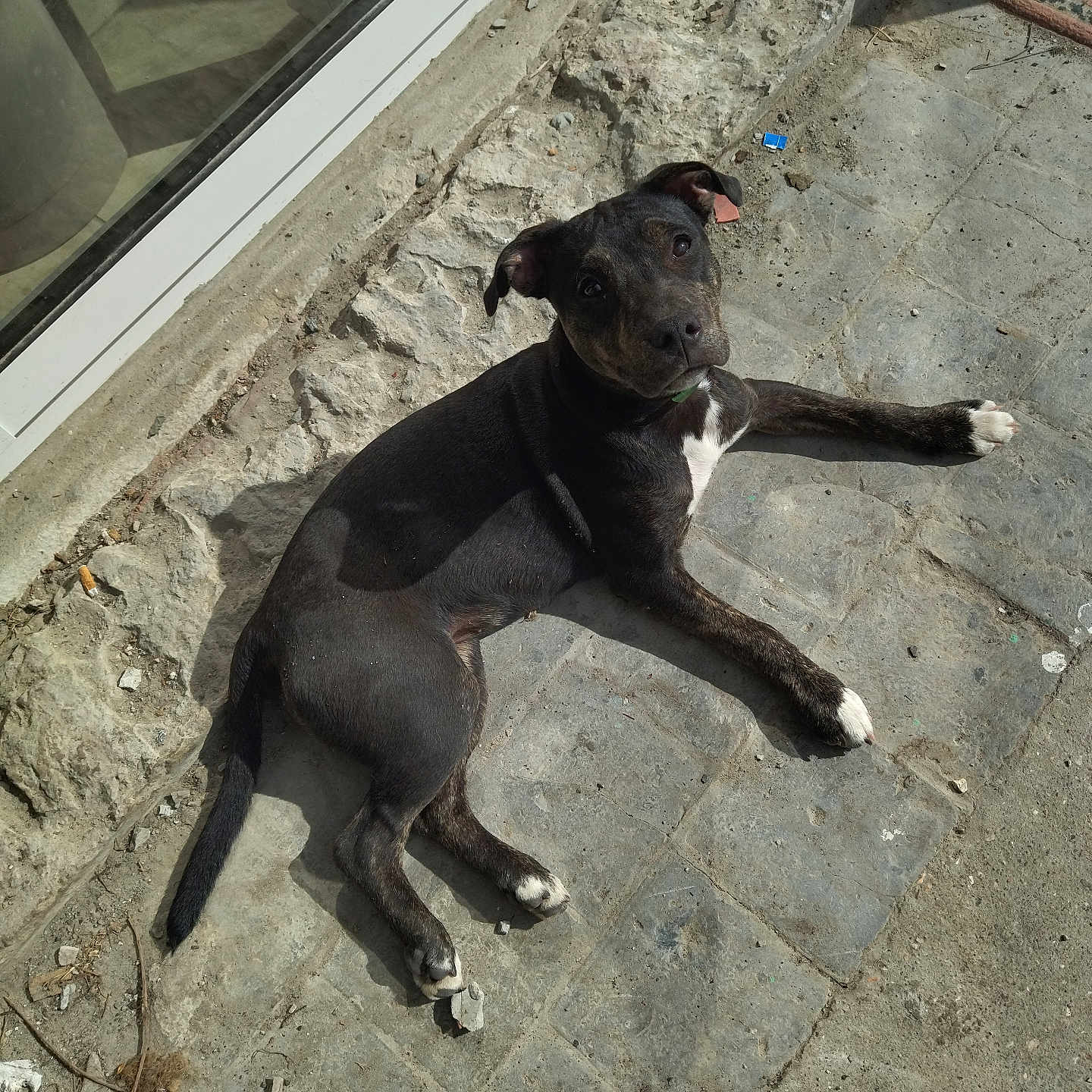 Moka