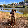 Virgule participe au concours pour gagner de l'argent avec cette photo : dog, sitting, lakeside, lake, water, outdoors, park, landscape, church, stone_wall, flowers, trees, grass, fallen_leaves, blue_sky, reflection, portrait, collar, happy, sunny