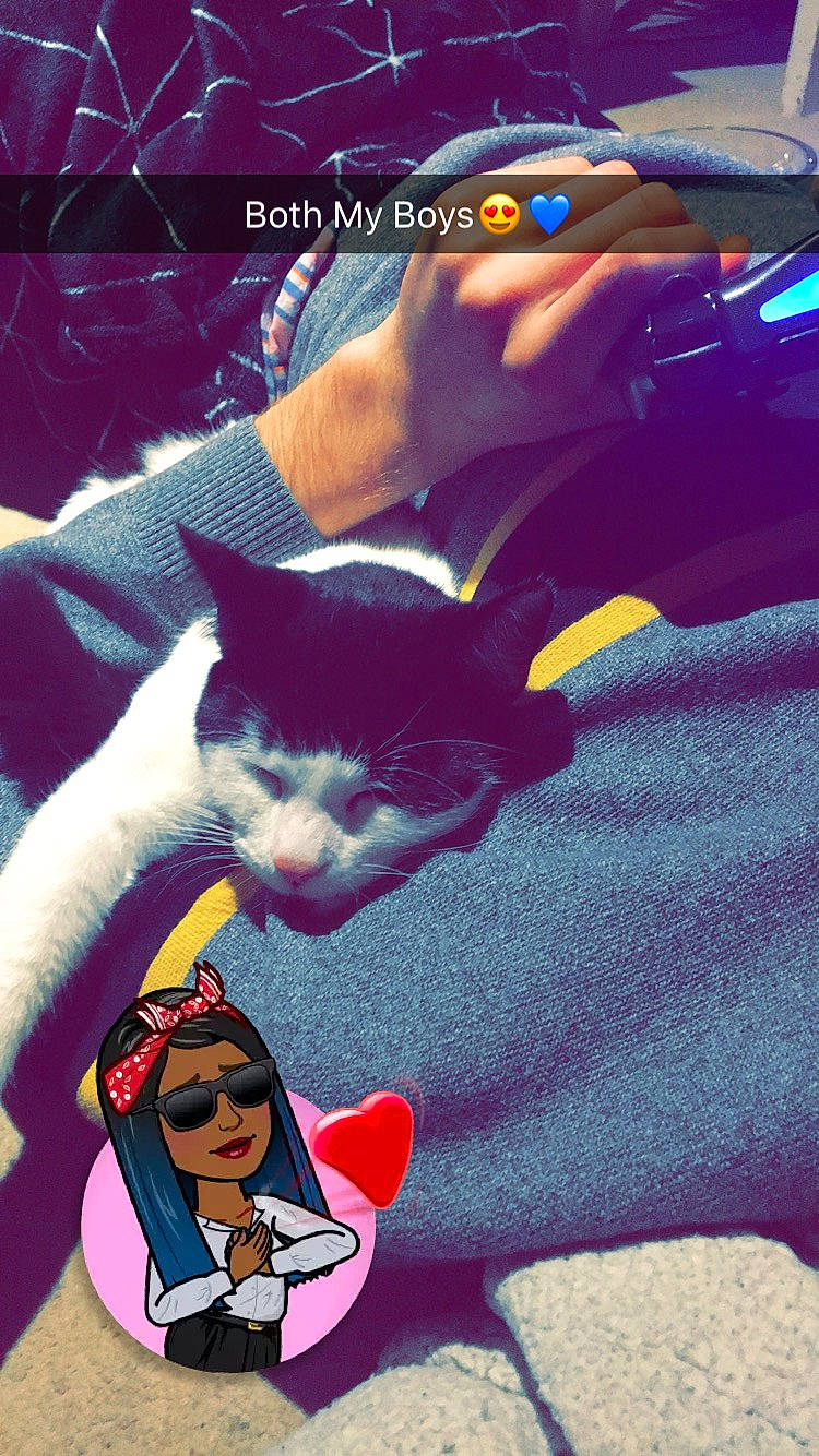 Max joined the competition — help win amazing prizes! art, cool, fun, girl, headwear, person, pink, product, purple