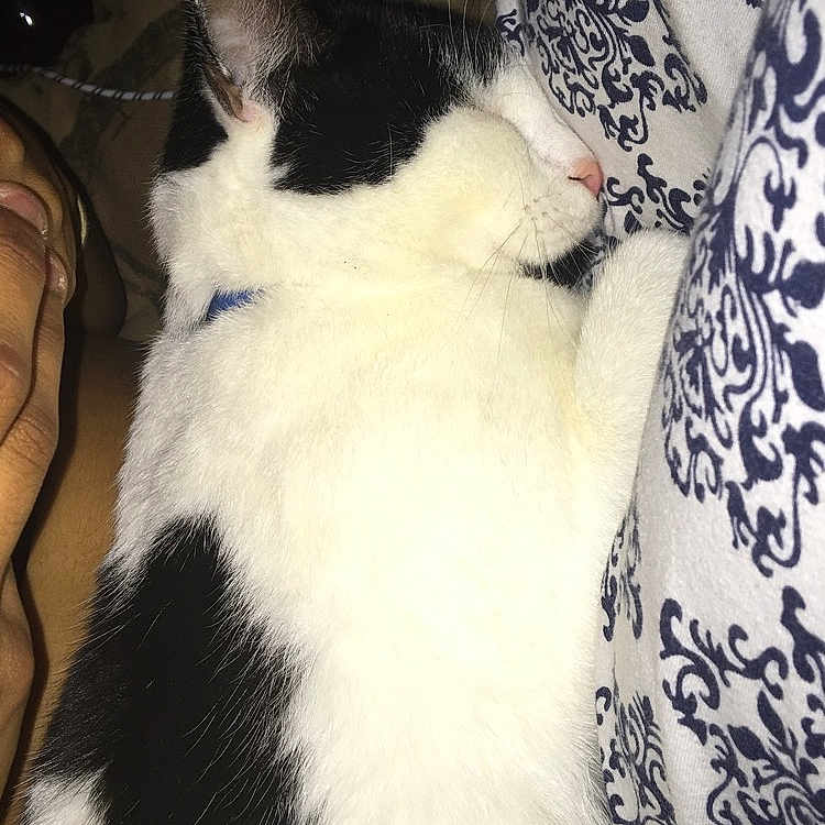 Max