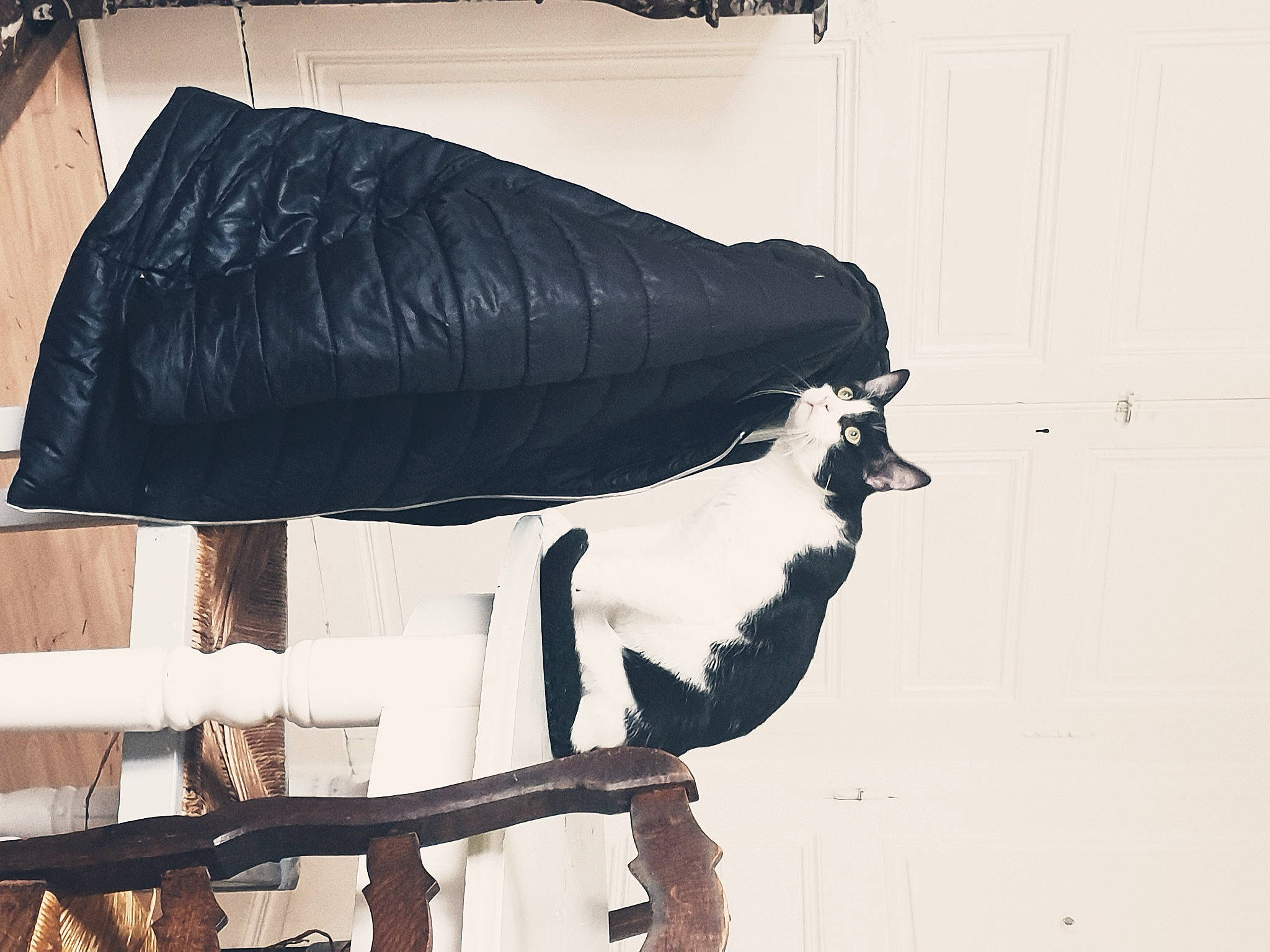 Baya a rejoint le concours — aidez-le/la à gagner de superbes lots ! automotive_exterior, automotive_tire, bumper, fashion_accessory, glove, human_leg, leather, metal, monochrome, monochrome_photography, room, shade, shadow, sleeve, tints_and_shades, umbrella, visual_arts, waist, wood