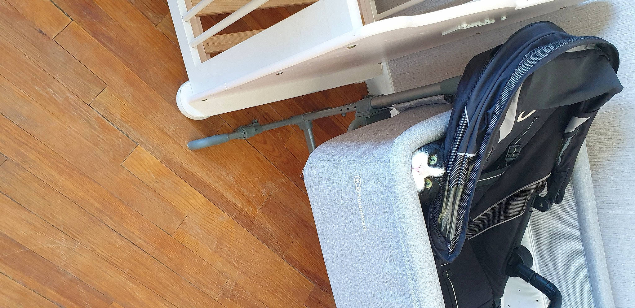 Baya participe au concours pour gagner de l'argent avec cette photo : auto_part, automotive_exterior, automotive_tire, bumper, chair, fender, flooring, hardwood, hood, laminate_flooring, luggage_and_bags, monoplane, motor_vehicle, plank, plywood, varnish, vehicle_door, wood, wood_flooring, wood_stain