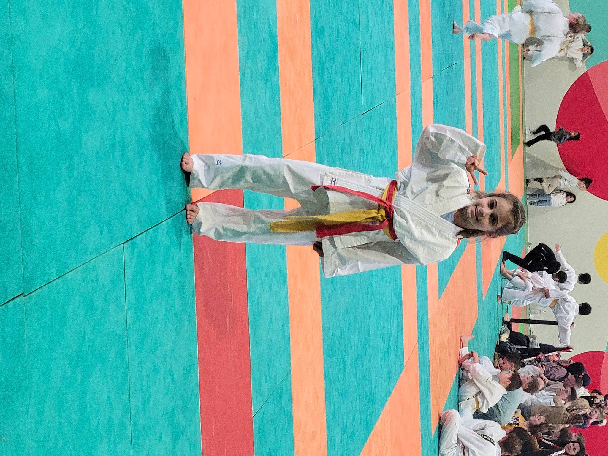 Flavie participe au concours pour gagner de l'argent avec cette photo : adventure, art, carmine, event, fun, joy, leisure, machine, orange, person, pink, room, tree, visual_arts, wood