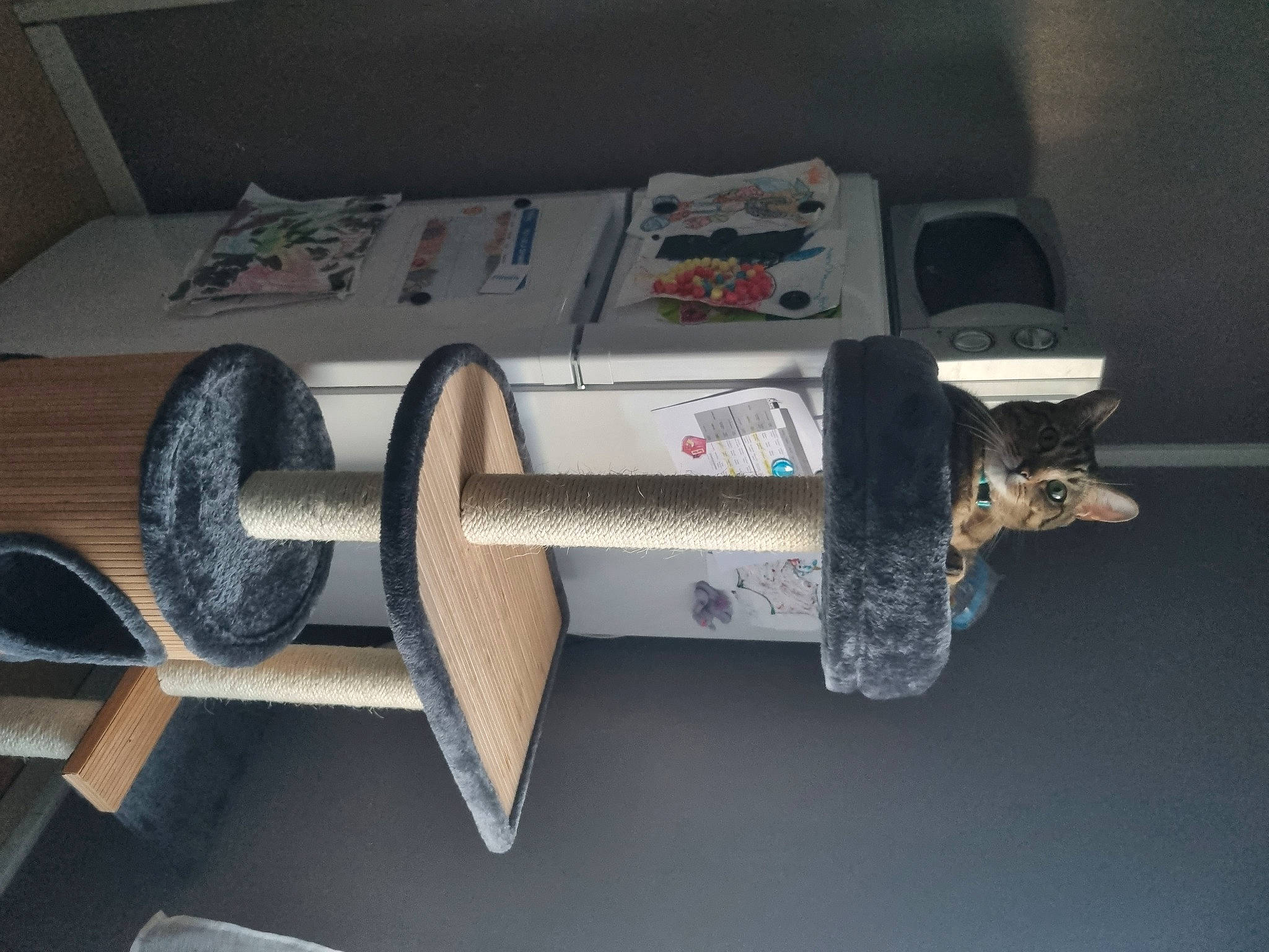 Neïko a rejoint le concours — aidez-le/la à gagner de superbes lots ! art, auto_part, automotive_design, automotive_exterior, automotive_wheel_system, bumper, font, gas, machine, motor_vehicle, tool, toy, wood