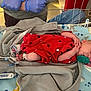 newborn, baby, hospital, medical_equipment, blanket, red_clothing, pacifier, sleeping, gloves, adult, bed, infant, monitoring, healthcare, person, cute, resting, tubes, nursery, comfort