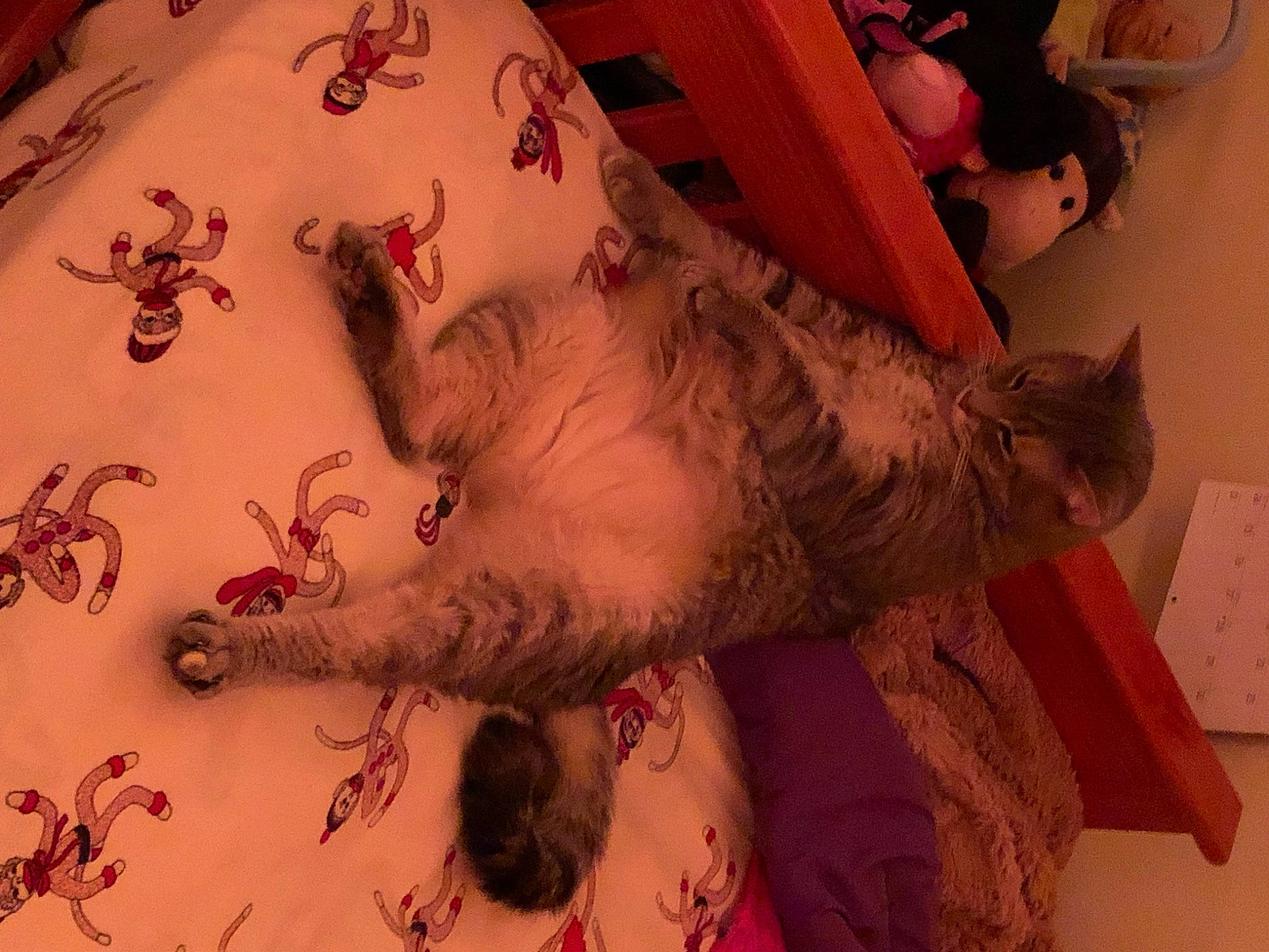 Mister Sophie is registered to the contest to win money with this photo: beard, cat, chest, felidae, gesture, human_leg, mouth, neck, pattern, pink, skin, small_to_medium_sized_cats, tail, tattoo, textile, tree, trunk, vertebrate, whiskers, wrist