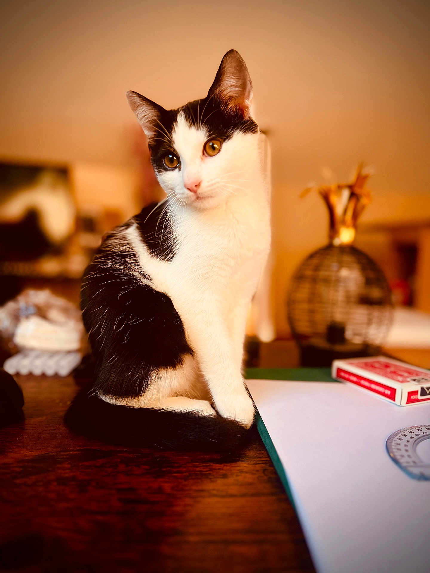 Oreo