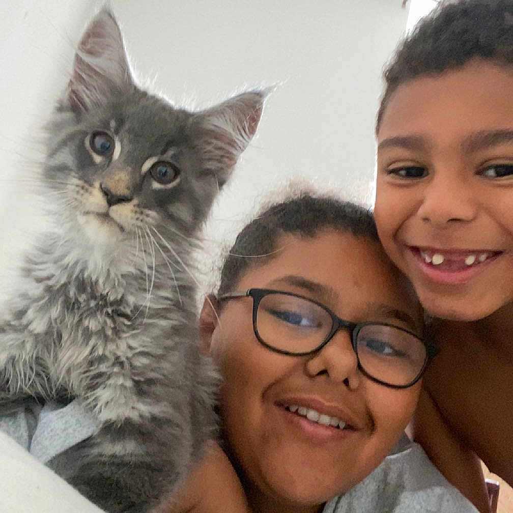 Ares a rejoint le concours — aidez-le/la à gagner de superbes lots ! casual, cat, child, cozy, cute, face, friendship, furry, glasses, hair, happy, home, indoor, kitten, light, people, portrait, smiling, together, young