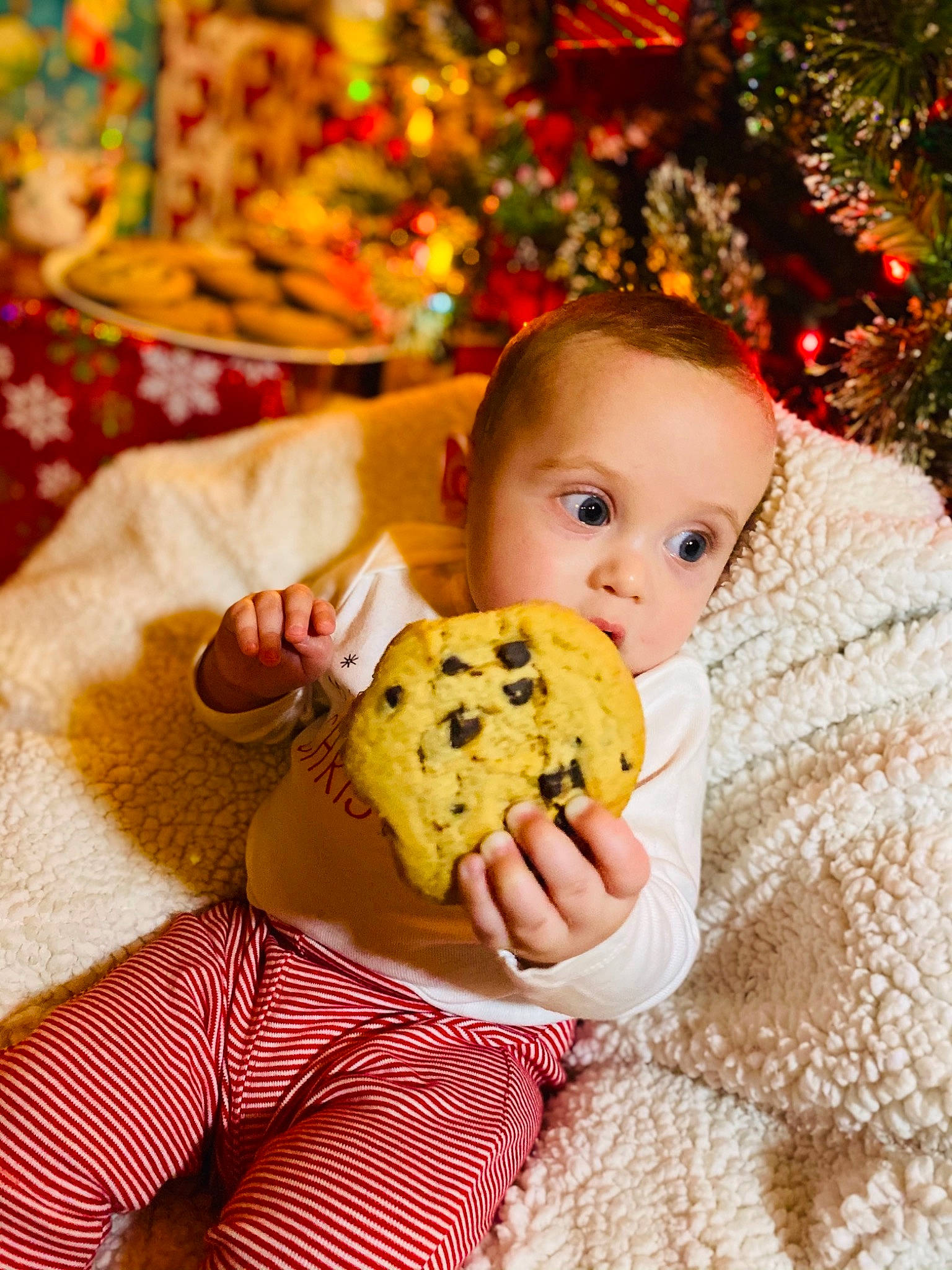 Leighton joined the competition — help win amazing prizes! baby, baked_goods, baking, child, christmas, cuisine, dessert, dish, finger_food, food, panettone, person, stollen, toddler, yellow