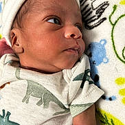 James is registered to the contest to win money with this photo: newborn, baby, infant, face, hat, onesie, dinosaur_print, blanket, lying_down, close_up, skin, cute, child, portrait, young, sleepwear, headwear, soft, cozy, indoors