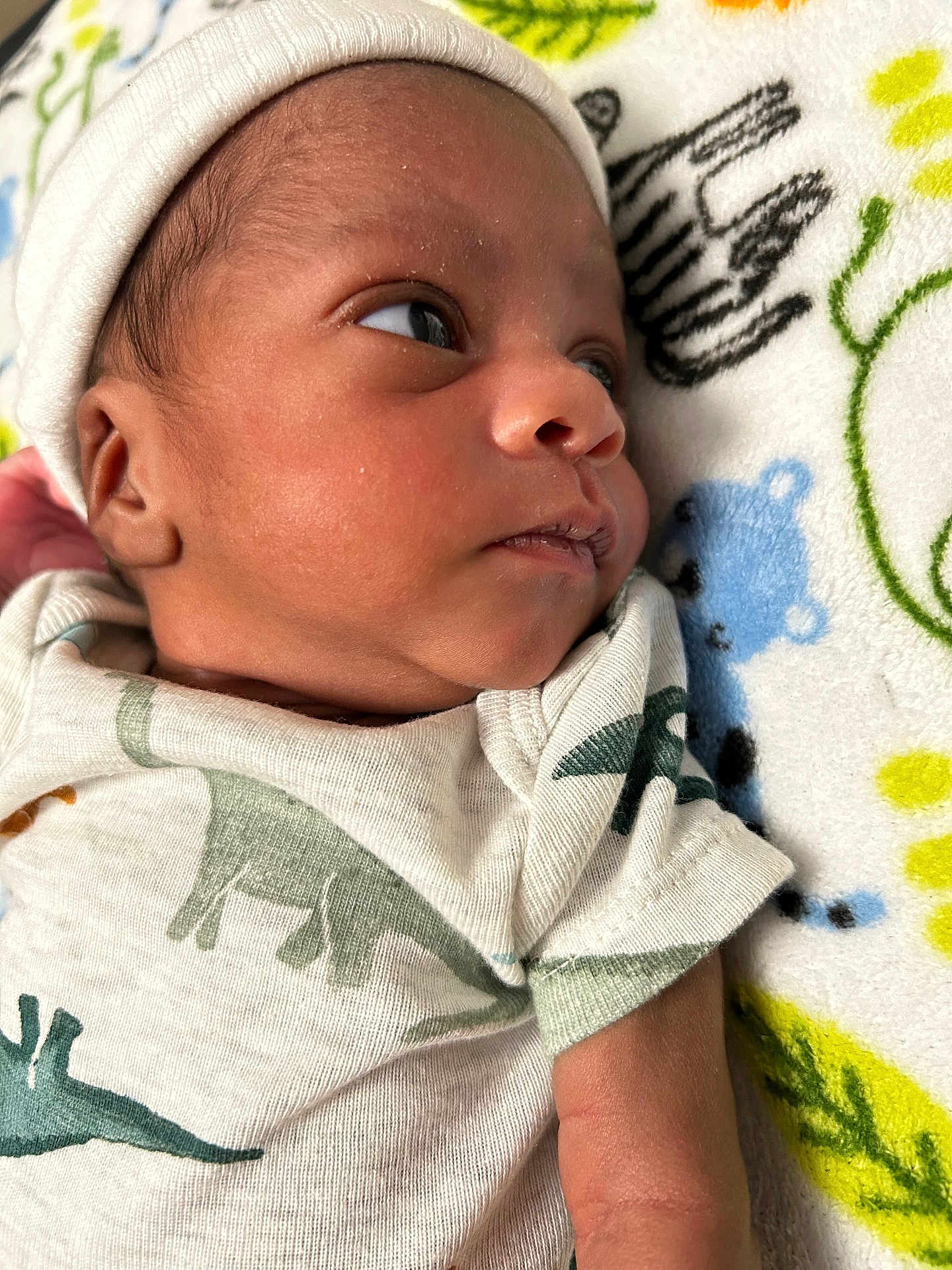 James is registered to the contest to win money with this photo: newborn, baby, infant, face, hat, onesie, dinosaur_print, blanket, lying_down, close_up, skin, cute, child, portrait, young, sleepwear, headwear, soft, cozy, indoors
