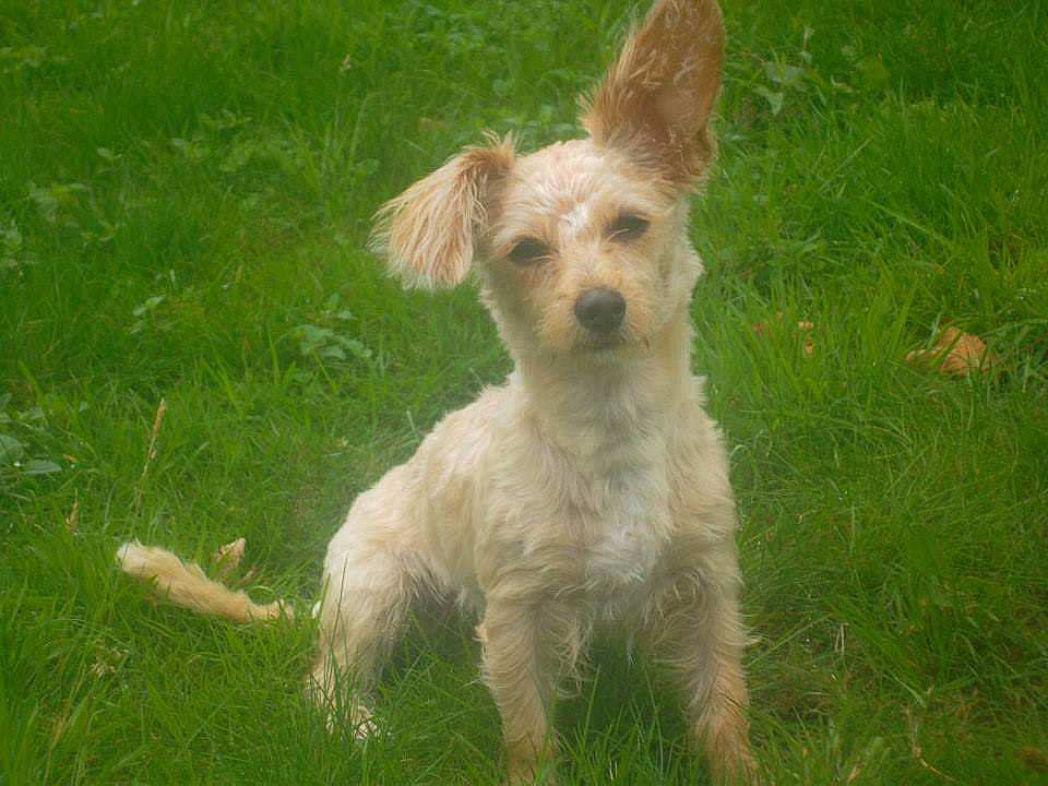 Zoe