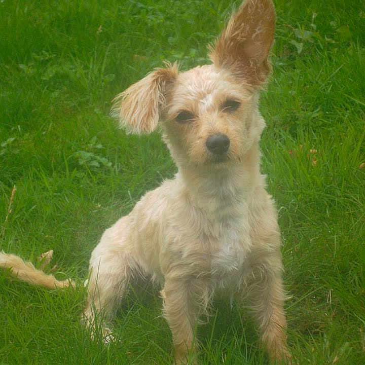 Zoe