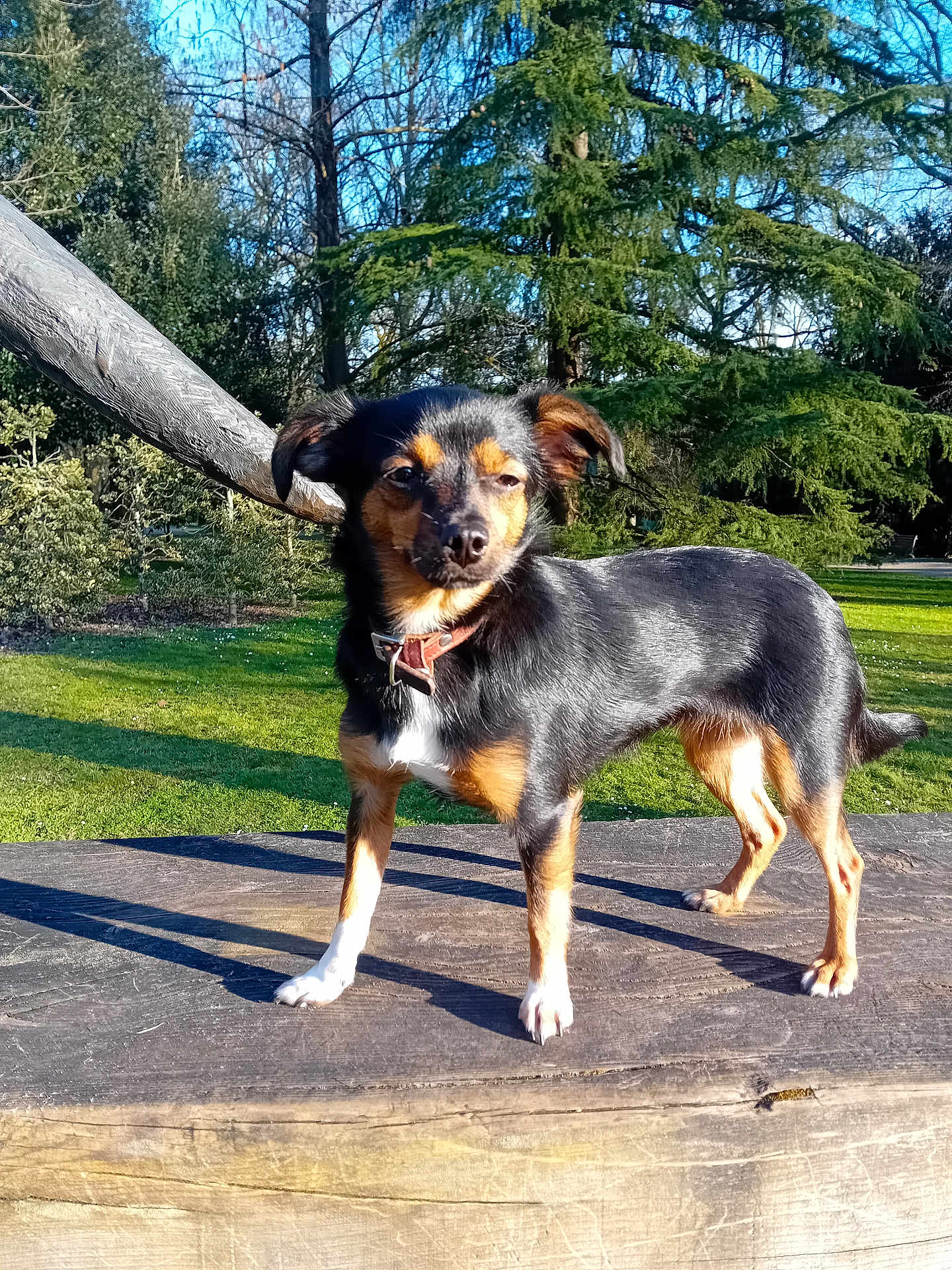 Betty