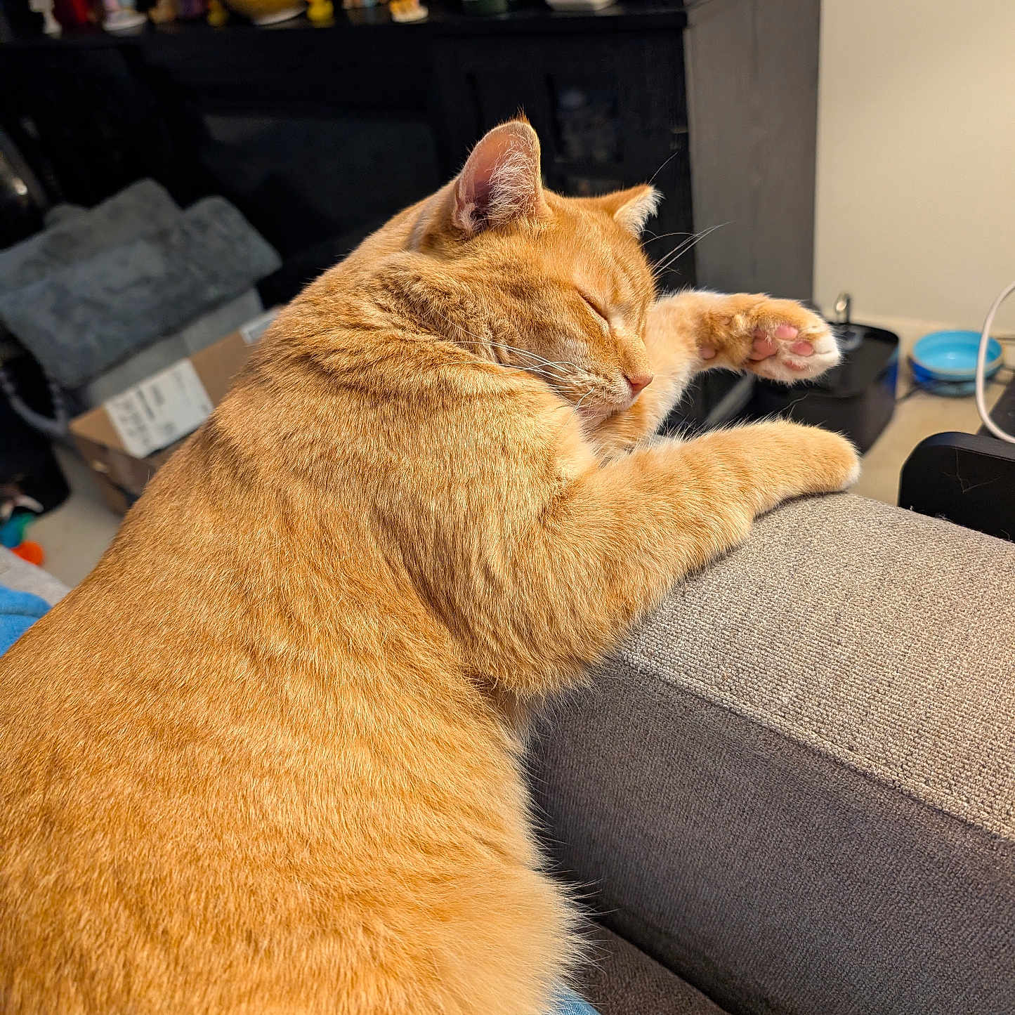 Oscar