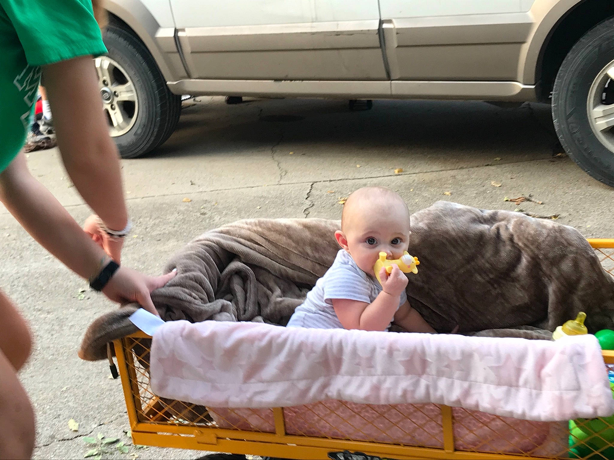 Marley joined the competition — help win amazing prizes! auto_part, car, child, family_car, person, sitting, vacation, vehicle