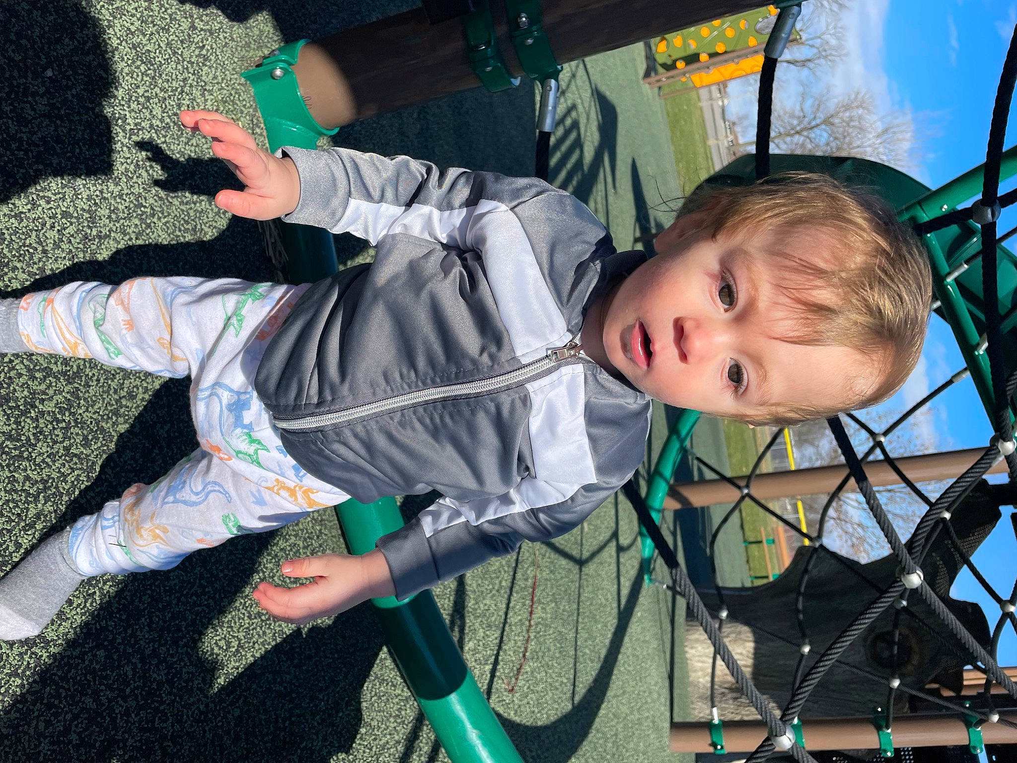 Nico is registered to the contest to win money with this photo: baby_products, child, event, facial_expression, fun, grass, green, jacket, leisure, mammal, outdoor_play_equipment, person, plant, playground, public_space, recreation, skin, spring, toddler, tree