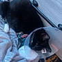 Whiskers is registered to the contest to win money with this photo: cat, black_cat, cone, pet, animal, indoor, blanket, furniture, resting, cozy, whiskers, paw, floor, cabinet, domestic, recovery, comfort, soft, sleepy, household
