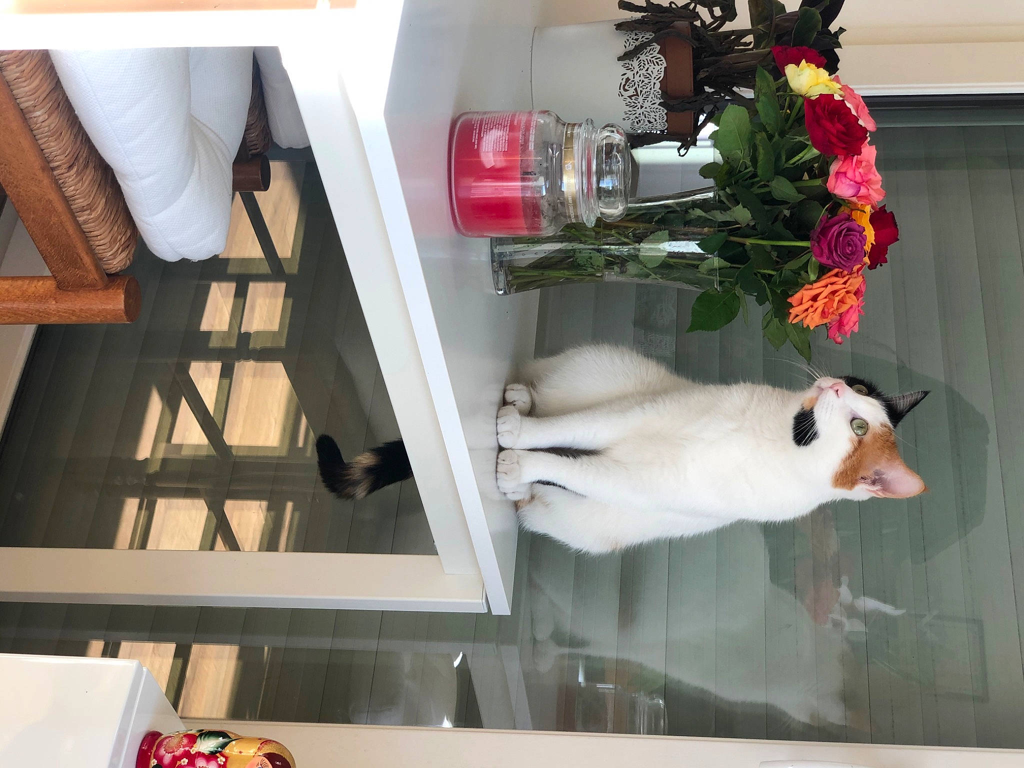 Hermione a rejoint le concours — aidez-le/la à gagner de superbes lots ! artificial_flower, bottle, carmine, cut_flowers, floral_design, floristry, flower, flower_arranging, houseplant, interior_design, petal, plant, red, room, rose, shelving, table, tail, white, wood