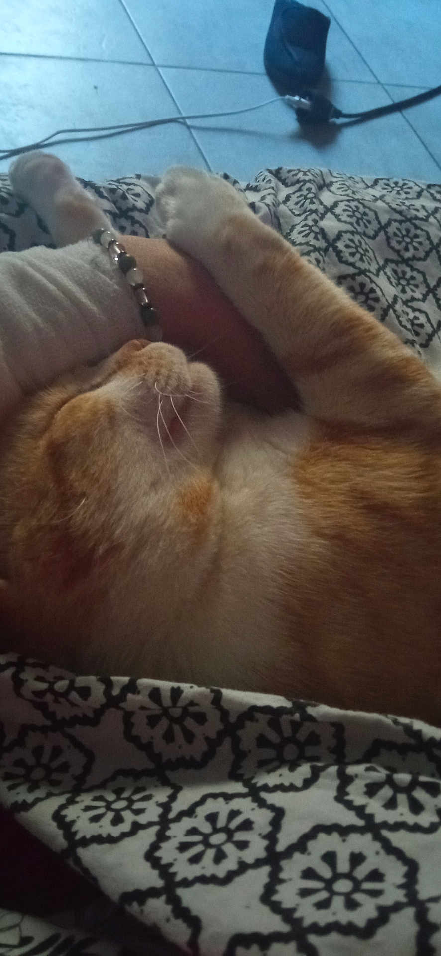 Tinou
