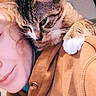 Reuben is registered to the contest to win money with this photo: affection, animal, brown_clothing, cat, closeup, companionship, cozy, cuddling, curious, face, hoodie, indoor, person, pet, portrait, shoulder, soft_lighting, tabby_cat, warm_colors, whiskers
