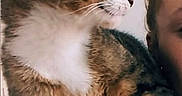 Reuben is registered to the contest to win money with this photo: animal, brown, cat, closeup, companion, cozy, curious, face, feline, fur, human, indoor, looking, person, pet, shoulder, striped, tabby_cat, whiskers, white