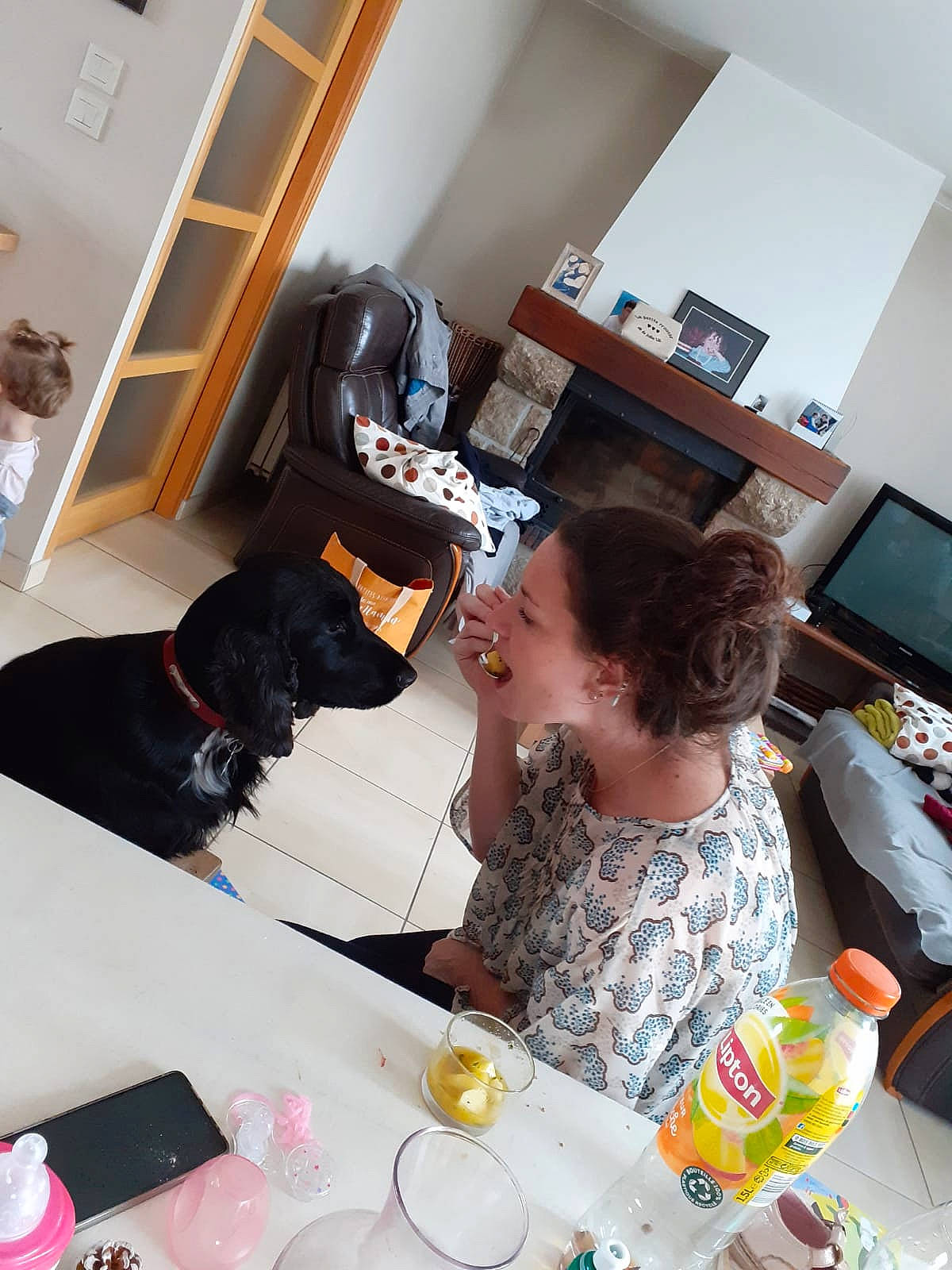 Latika a rejoint le concours — aidez-le/la à gagner de superbes lots ! carnivore, computer_keyboard, computer_monitor, dishware, display_device, dog, dog_breed, drink, drinkware, home, interior_design, linens, picture_frame, plate, porcelain, room, saucer, serveware, tablecloth, tableware