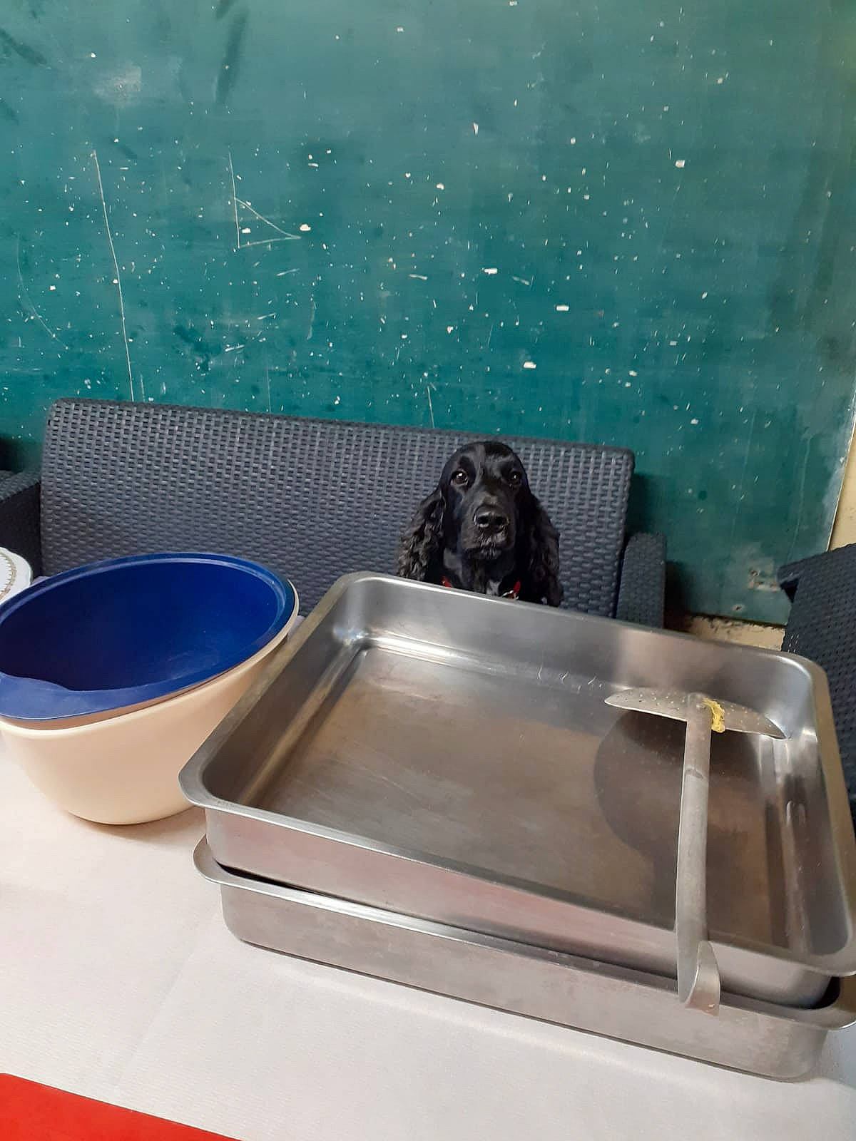 Latika a rejoint le concours — aidez-le/la à gagner de superbes lots ! aqua, azure, blue, ceramic, jacuzzi, mixing_bowl, outdoor_furniture, porcelain, pottery, swimming_pool, teal, turquoise