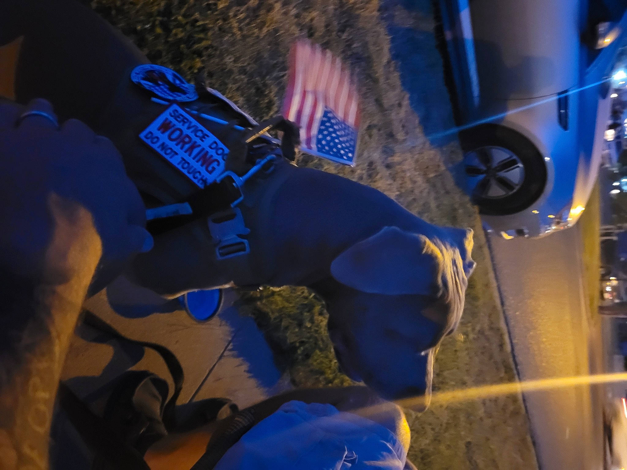 Taji joined the competition — help win amazing prizes! auto_part, automotive_exterior, automotive_lighting, automotive_tire, automotive_wheel_system, bumper, car, electric_blue, fender, hood, human_leg, mechanic, motor_vehicle, personal_protective_equipment, rim, tire, tree, vehicle, vehicle_door, wheel