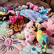 Kitkat joined the competition — help win amazing prizes! cat, orange_tabby, stuffed_animals, plush_toys, blanket, bed, bow, pink, blue, purple, cute, cozy, indoor, soft_toys, animal, sleeping, resting, childrens_room, colorful, decor