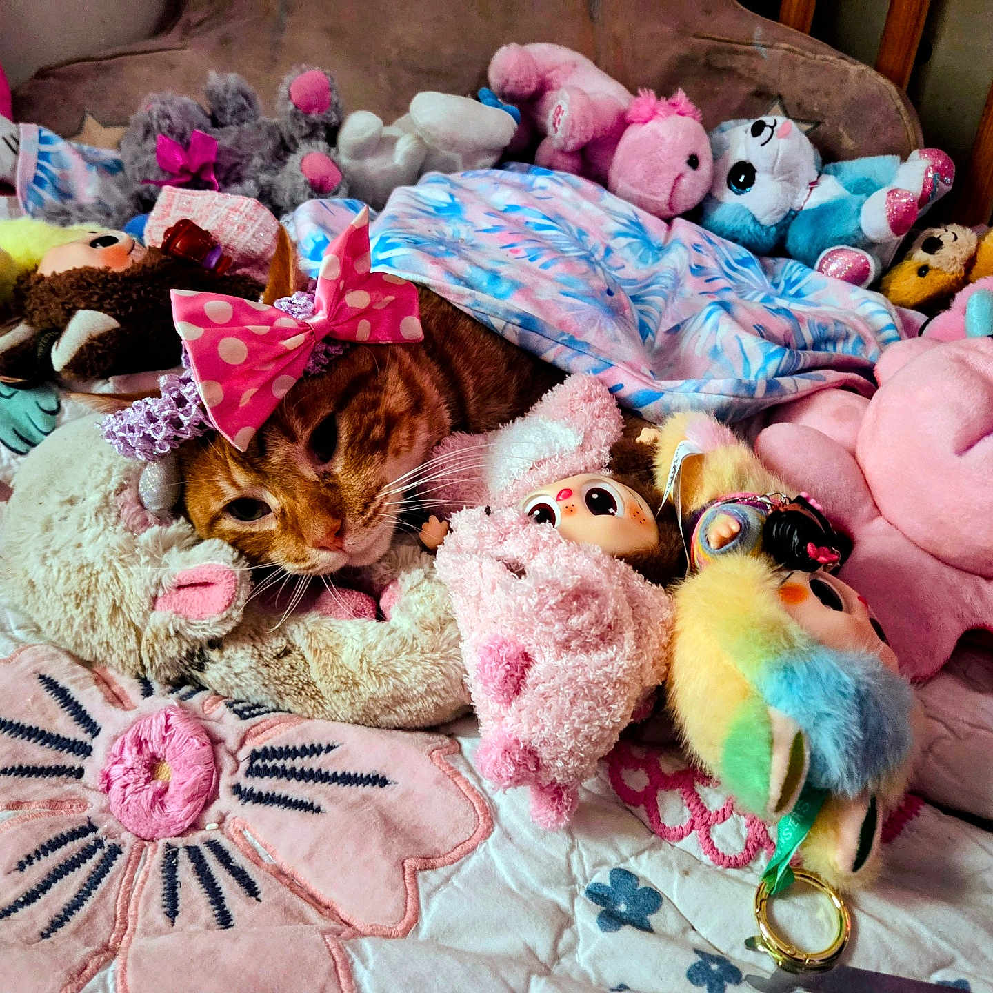 Kitkat joined the competition — help win amazing prizes! cat, orange_tabby, stuffed_animals, plush_toys, blanket, bed, bow, pink, blue, purple, cute, cozy, indoor, soft_toys, animal, sleeping, resting, childrens_room, colorful, decor