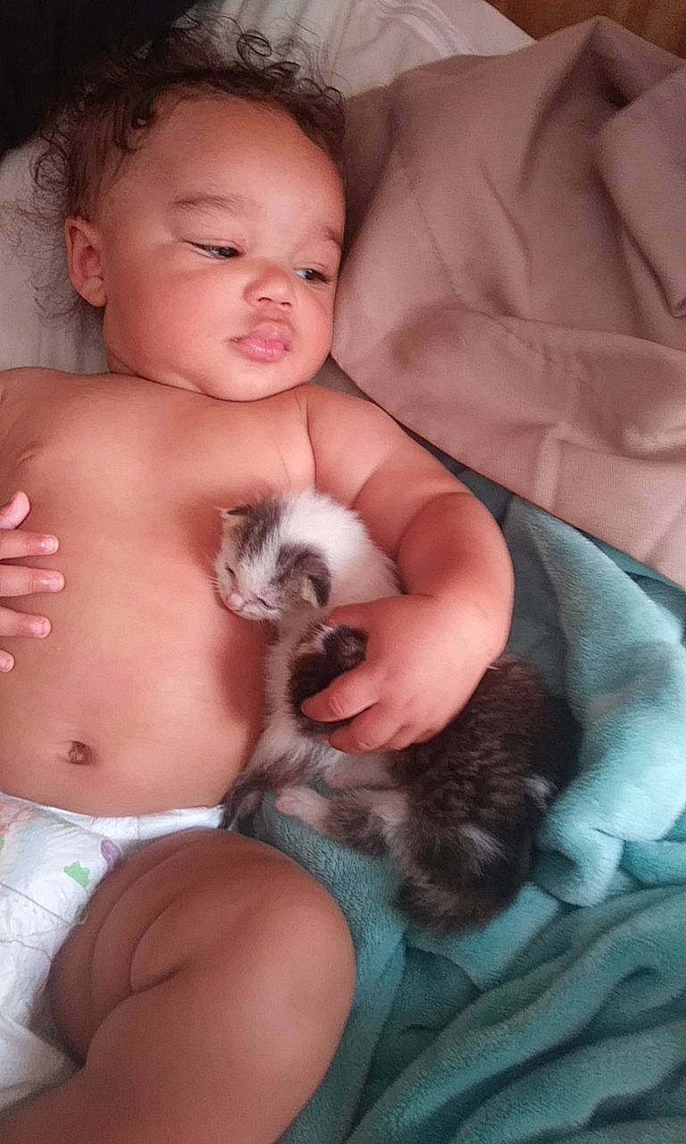 Joshua joined the competition — help win amazing prizes! baby, canidae, child, fawn, person, puppy, puppy_love, shih_tzu, skin, smile, toddler