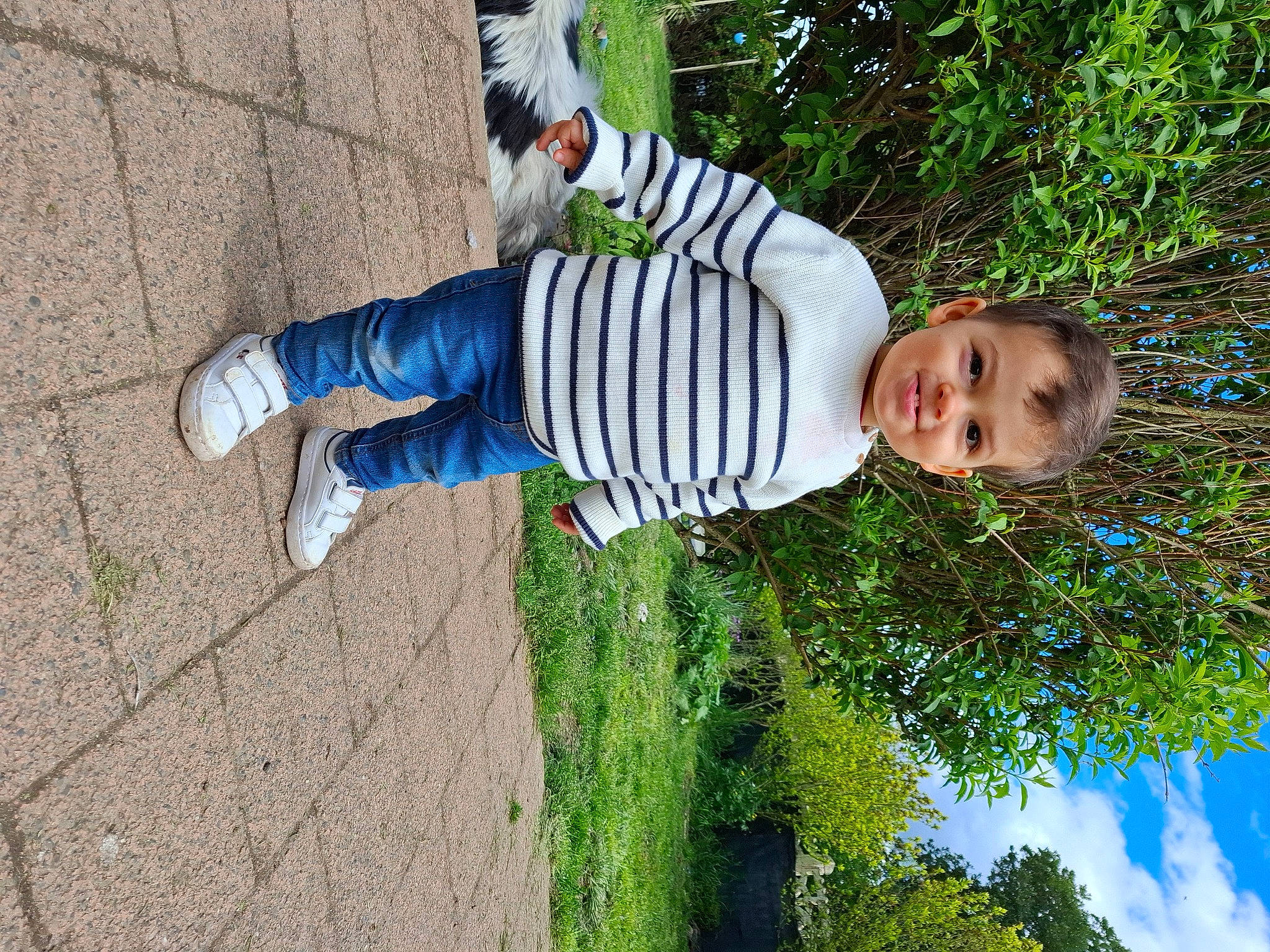 Raphaël participe au concours pour gagner de l'argent avec cette photo : adaptation, baby_toddler_clothing, child, electric_blue, flooring, fun, grass, grass_family, happy, human_leg, joy, leisure, mammal, people_in_nature, person, plant, sitting, sky, soil, toddler