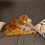 cat, orange_cat, fluffy, stuffed_animal, gray_couch, pillow, decorative_pillow, cozy, indoor, pet, feline, resting, cute, animal, soft_toy, home, relaxing, snuggling, fur, cuddling